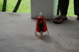 DSC_7763.JPG
