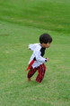 DSC_0167.JPG