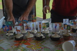 DSC_9155.JPG