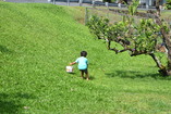 DSC_2596.JPG