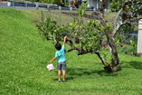 DSC_2597.JPG