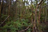 DSC_1692.JPG