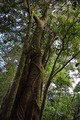 DSC_1695.JPG