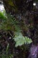 DSC_1724.JPG