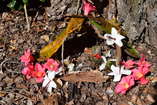 DSC_1744.JPG