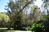 DSC_1779.JPG