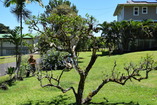 DSC_1854.JPG