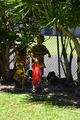 DSC_1909.JPG