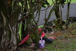 DSC_1858.JPG