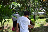 DSC_3039.JPG
