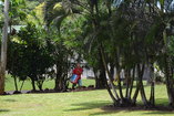 DSC_3042.JPG