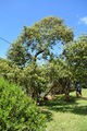 DSC_3043.JPG