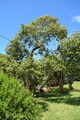 DSC_3044.JPG