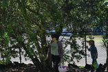 DSC_6129.JPG