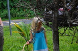 DSC_5954.JPG