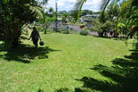 DSC_3167.JPG