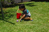 DSC_8853.JPG