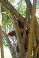 r_DSC_8881.JPG