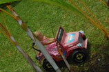 DSC_7143.JPG