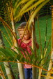 Home_21Jan12